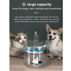 Pet Water Fountain – Automatic Cat & Dog Water Dispenser with Replaceable Filters, Ultra-Quiet Pump, Transparent 2.5L Design for Clean & Fresh Drinking Water