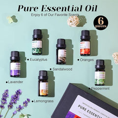 6-Pack Essential Oils Set | 10mL Water Soluble Aromatherapy Oils for Diffusers & Humidifiers | Sandalwood, Orange, Lavender, Eucalyptus, Lemon, Mint