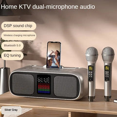 S39 Karaoke Speaker | Dual Horns with Wireless Dual Microphones | All-in-One Bluetooth Karaoke System for Mobile & TV Entertainment (Grey)