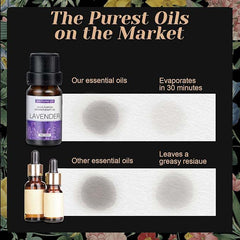 6-Pack Essential Oils Set | 10mL Water Soluble Aromatherapy Oils for Diffusers & Humidifiers | Sandalwood, Orange, Lavender, Eucalyptus, Lemon, Mint