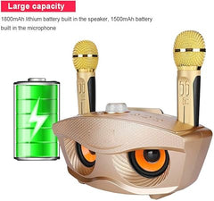 Dual Wireless Microphone Bluetooth Karaoke Speaker Set | Portable Rechargeable Sound System for Home, Parties & Events | Clear Audio with Deep Bass & LED Effects